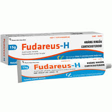 Fudareus H