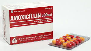 Amoxicillin 500mg Mekophar