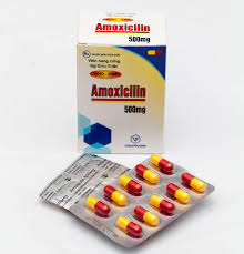 Amoxicillin 500mg TW2