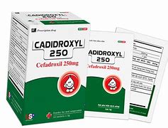 Cadidroxyl US (Cefadroxil gói 250mg)