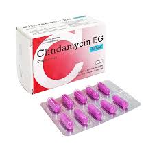 Clindamycin EG 300mg