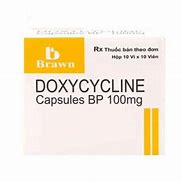 Doxycycline Brawn