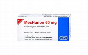 MesHanon 60 mg