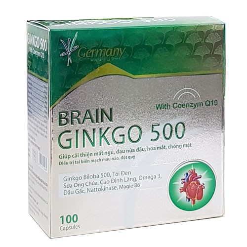 Brain Ginkgo 500