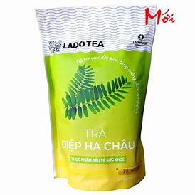 Trà Diệp Hạ Châu Ladotea