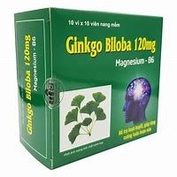 Gingko Biloba 120mg Thanh Hằng