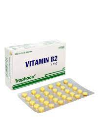 Vitamin B2 2mg Traphaco