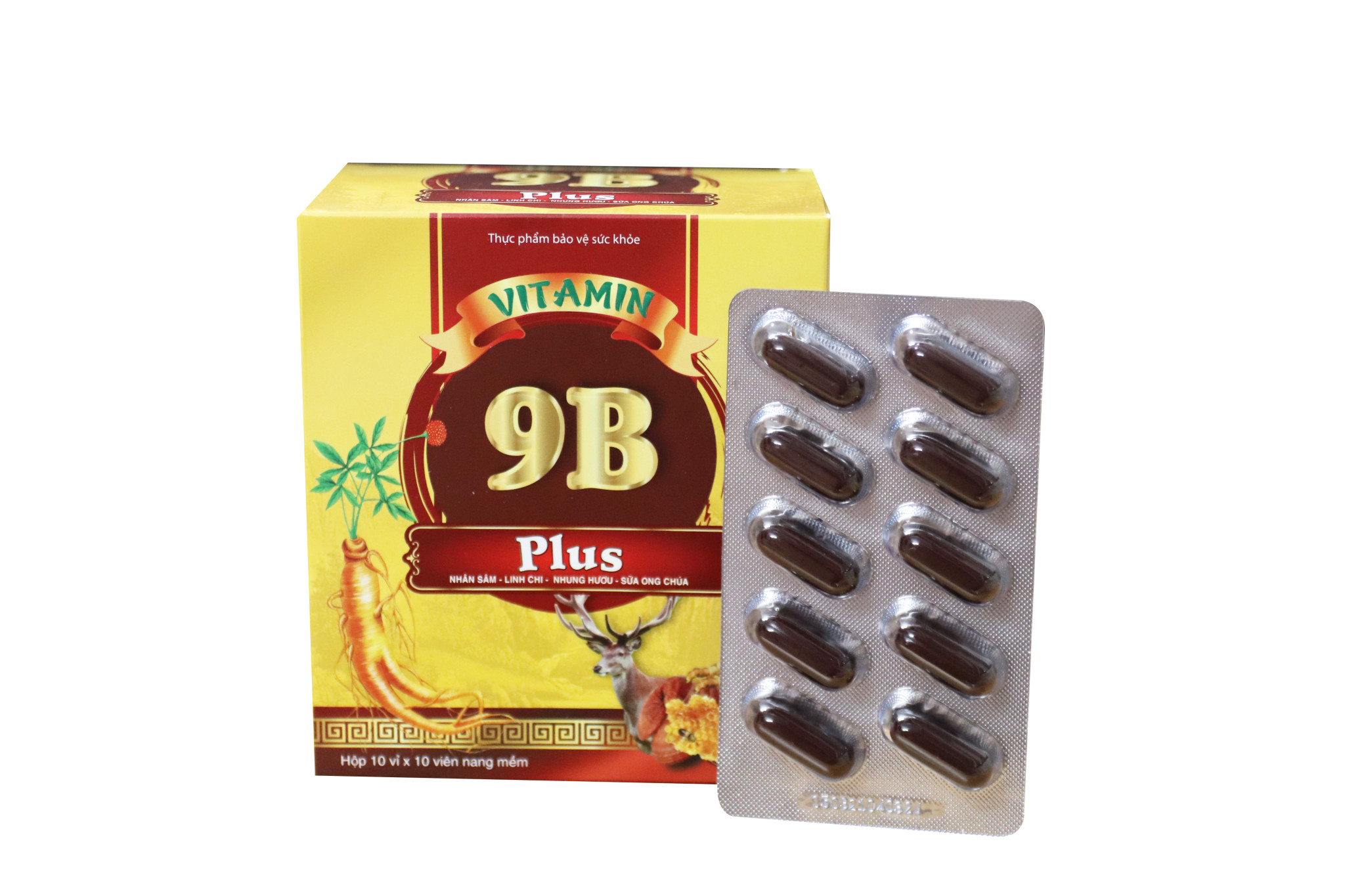 Vitamin 9B Plus Đại Uy