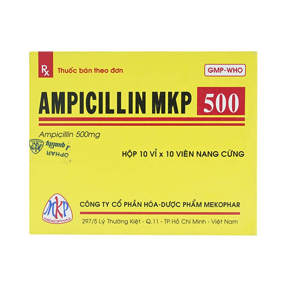 Ampicillin 500 mg MKP