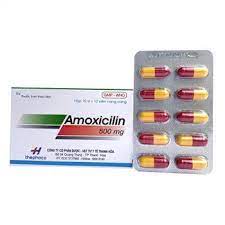 Amoxicilin 500Mg  Dược  Thanh Hóa