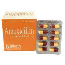 Amoxicillin  Brawn (Ấn Độ)