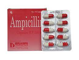 Ampicilin Brawn (Ấn Độ)