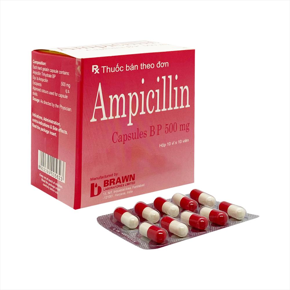 Ampicilin Brawn