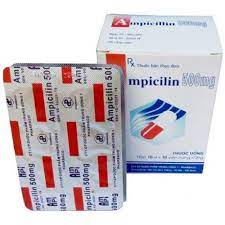 Ampicillin 500mg (TW1).