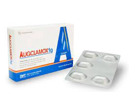 Augclamox 1g