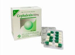 cephalexin 500mg vidipha