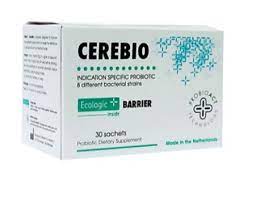 Cerebio