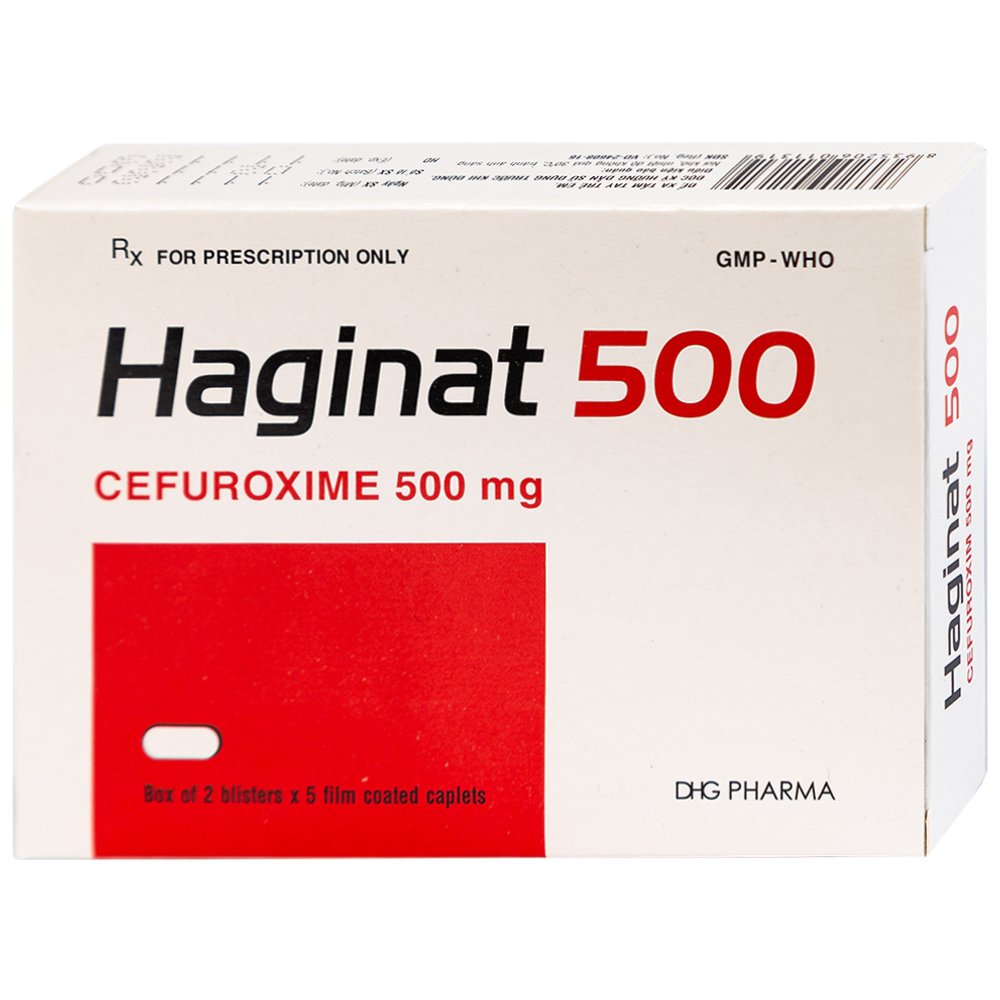 Haginat 500