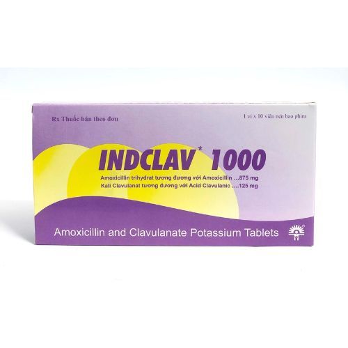 Indclav 1000