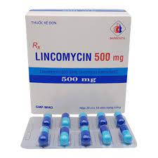 Lincomycin 500mg Domesco