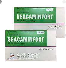 Seacaminfort