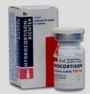 Thuốc bột pha tiêm Hydrocortison