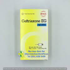 Tiêm Ceftrimaxone EG