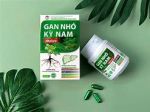 Gan nhó Kỳ Nam