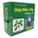 Gingko Biloba 120mg Thanh Hằng