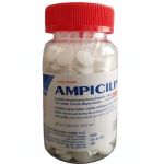 Ampicillin 250mg lọ 250 viên TW2