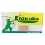 Enzicoba