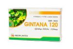 Gintana 120