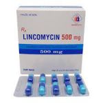 Lincomycin 500mg Domesco