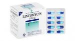 Lincomycin 500mg