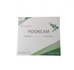 Pidoncam 1200mg/5ml (20 ống x 10ml)