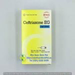 Tiêm Ceftrimaxone EG